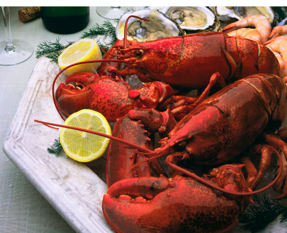 George Menda Lobsters Oysters